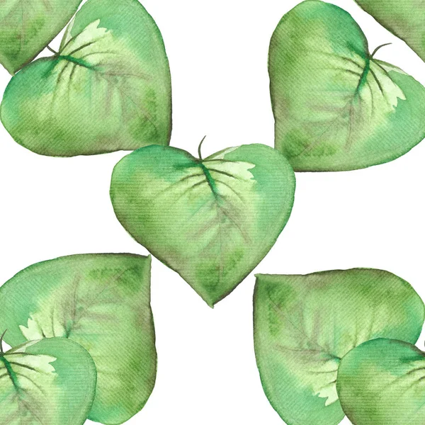 Groene bladeren van petunia aquarel naadloze patroon — Stockfoto