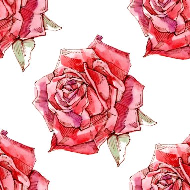 Suluboya kırmızı gül. Seamless modeli.