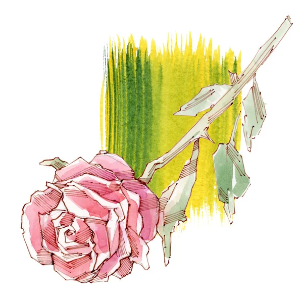 Rote Rose. Aquarell-Illustration. isolierter weißer Hintergrund. — Stockfoto