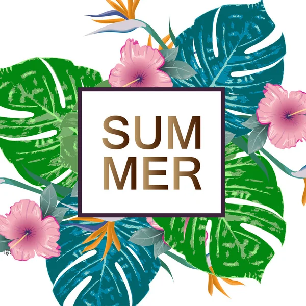 Tropischer Sommer Flyer Banner Rahmendesign Kopierraum — Stockvektor