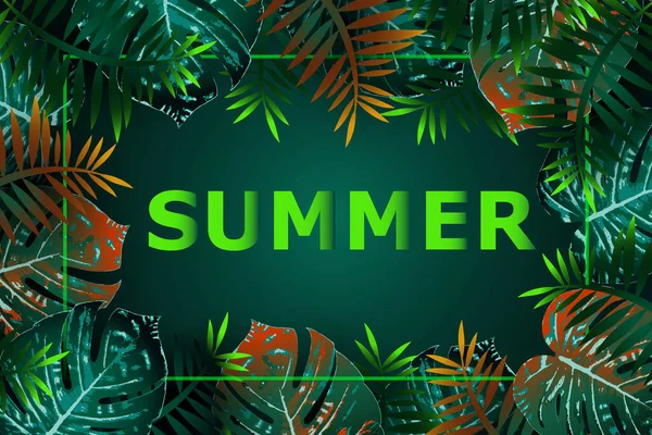 Banner volante de verano tropical Diseño de marco Copiar espacio — Vector de stock