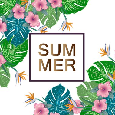 Tropik yaz broşürü çerçeve tasarımı Boşluğu kopyala