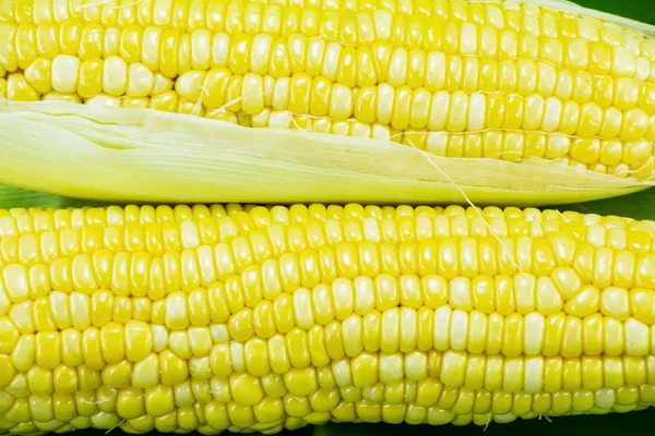 Kukorica Cob Zöld Levelek Közelről — Stock Fotó