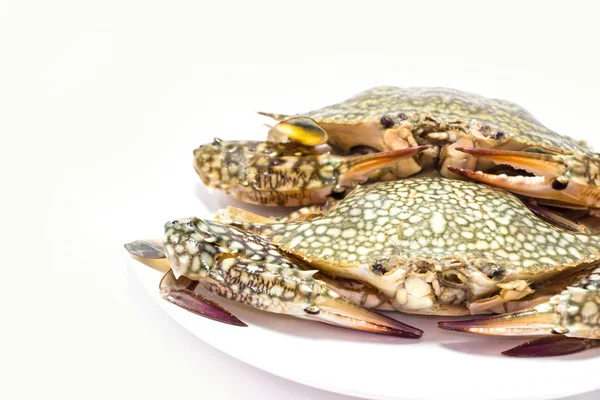 Crabes Isolés Sur Blanc — Photo