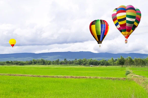 Sıcak Hava Balonu Üzerinde Yeşil Pirinç Alan Dağları Arka Plan — Stok fotoğraf