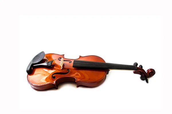白い背景の上のバイオリンのクローズ アップ — ストック写真
