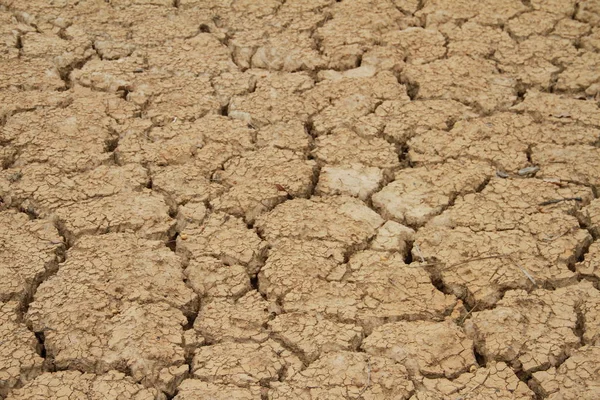 Gedroogd Gebarsten Bodem Achtergrond — Stockfoto