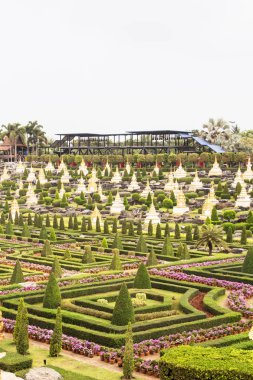 Tropik bahçe-Pattaya, Tayland