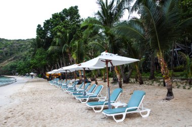 tropikal bir plajda şemsiye ve satır sandalye