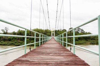 Tropikal bir ormanda halat geçit