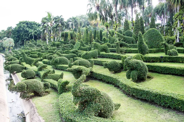 Nongnuch Tropical Garden Pattaya Thaïlande — Photo