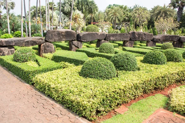 Nong Nooch Tropical Botanical Garden Pattaya Thailand — Stock Photo, Image