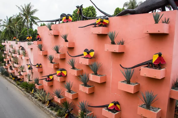 Pots Plantes Sur Mur — Photo