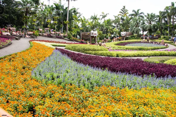 Summer Flowers Growing Meadow Park — Stock Photo, Image