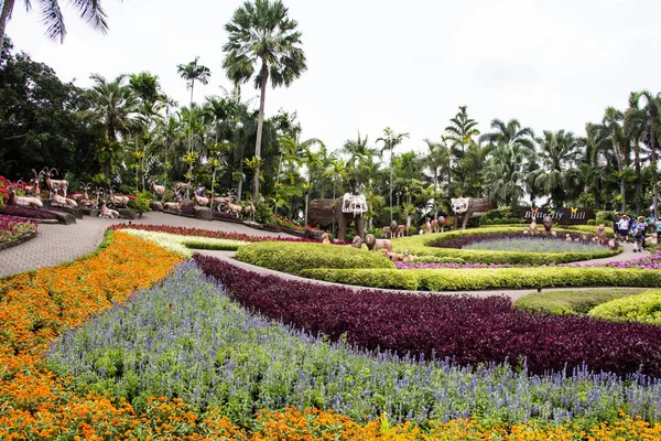 Jardim Tropical Verde Viagem — Fotografia de Stock