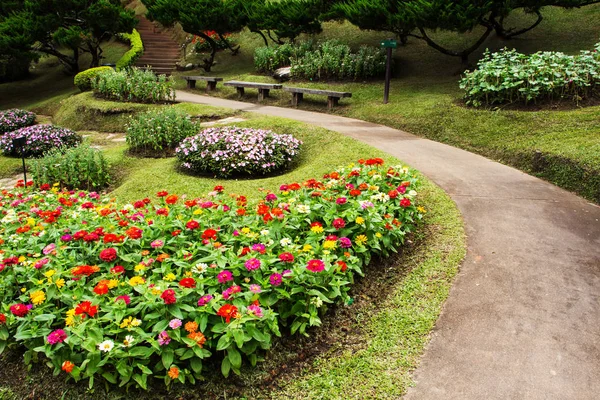 Jardim Flores Tung Doi Tailândia — Fotografia de Stock