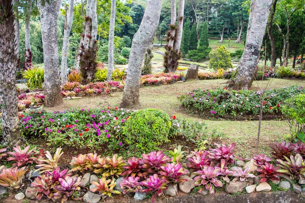 Jardim Tropical Verde Viagem — Fotografia de Stock