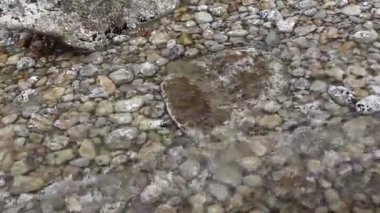 deniz suyu dalgaları ve sualtı taşları video 