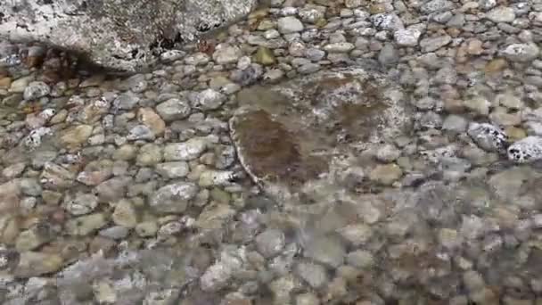 Vídeo Olas Agua Mar Piedras Submarinas — Vídeo de stock