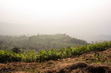 güzel dağ manzarası içinde phutabberk: phetchabun, thailand