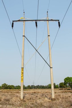 Doğada, açık havada elektrik direkleri