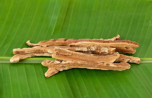 Ganoderma Lucidum Auf Bananenblättern — Stockfoto