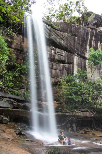 Cascadas Vida Enfoque Selectivo — Foto de Stock