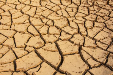 Dry soil cracked background clipart