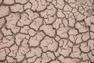 çöl kuru çatlak toprak