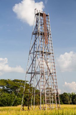 Sonbahar pirinç alan tarım kavramı 