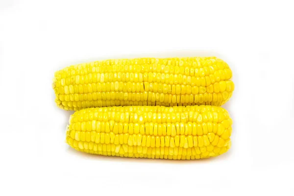 Кукуруза Изолирована Белом — стоковое фото