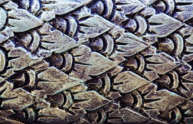 Tapınaktaki Naga heykeli