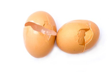 Organik yumurta yakın çekim 