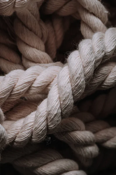 Twisted Ropes Background Close Vertical Photo — Stock Photo, Image