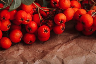 Kırmızı rowan çilek kahverengi buruşturulmuş Kraft kağıt üzerinde Kapat