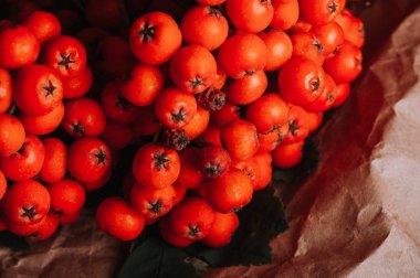 turuncu rowan çilek kahverengi buruşturulmuş Kraft kağıt üzerinde Kapat