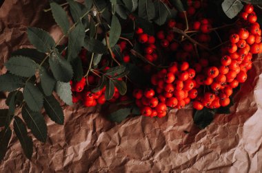 kahverengi buruşturulmuş Kraft kağıt üzerinde turuncu üvez meyveleri dalları