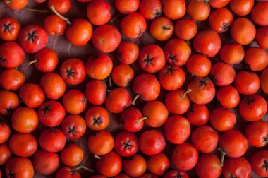 turuncu sorbus çilek, tam kare resmi, üstten görünüm