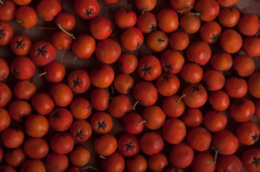 turuncu üvez meyveleri, tam kare resmi, üstten görünüm