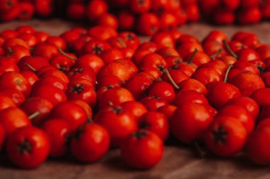 turuncu üvez meyveleri, tam kare görüntü