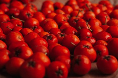 turuncu üvez meyveleri, tam kare görüntü