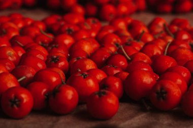 turuncu üvez meyveleri, tam kare görüntü