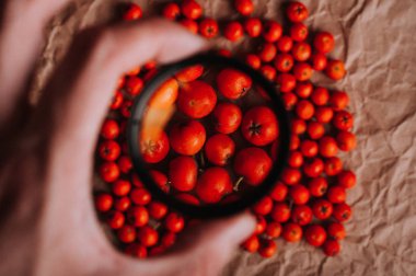 insan El Büyüteç üvez meyveleri yukarıda tutarak kısmi görünümünü