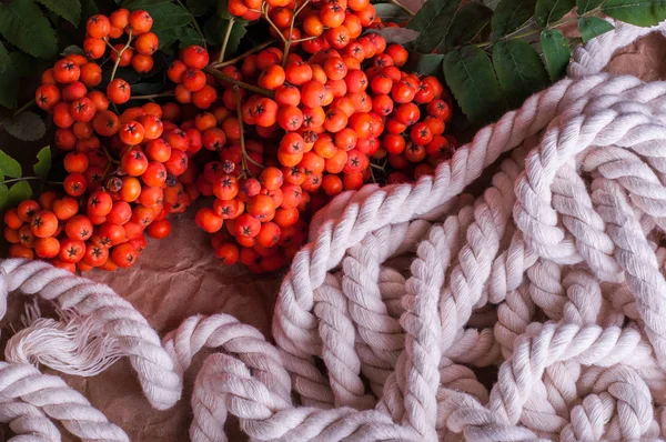 Red Rowan Berries Brown Crumpled Craft Paper White Rope Green — Stock Photo, Image