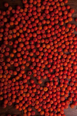 Kırmızı üvez meyveleri, tam kare dağınık