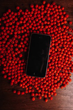 dağınık kırmızı üvez meyveleri ve smartphone, dikey görüntü 