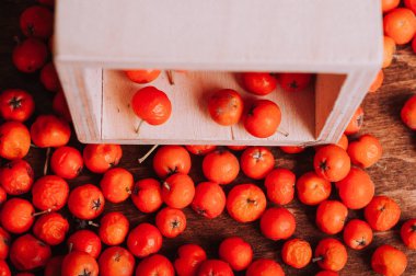 turuncu üvez meyveleri ile ahşap kutu