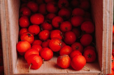 turuncu üvez meyveleri, yakın çekim