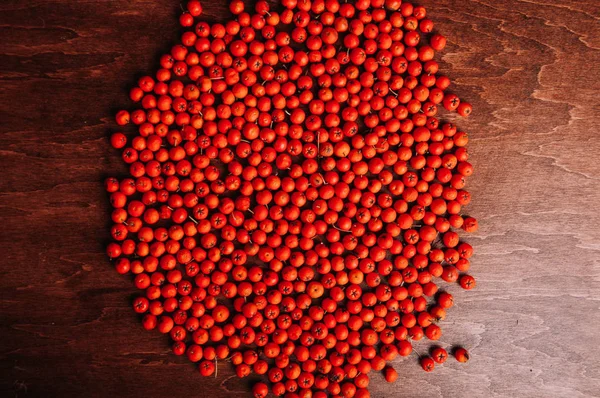 Scattered Red Rowan Berries Table — Stock Photo, Image