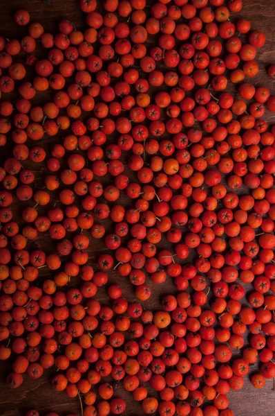 Kırmızı üvez meyveleri, tam kare dağınık